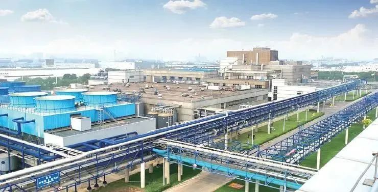 泰达组团参加2024夏季达沃斯 生物技术研发领域收获满满